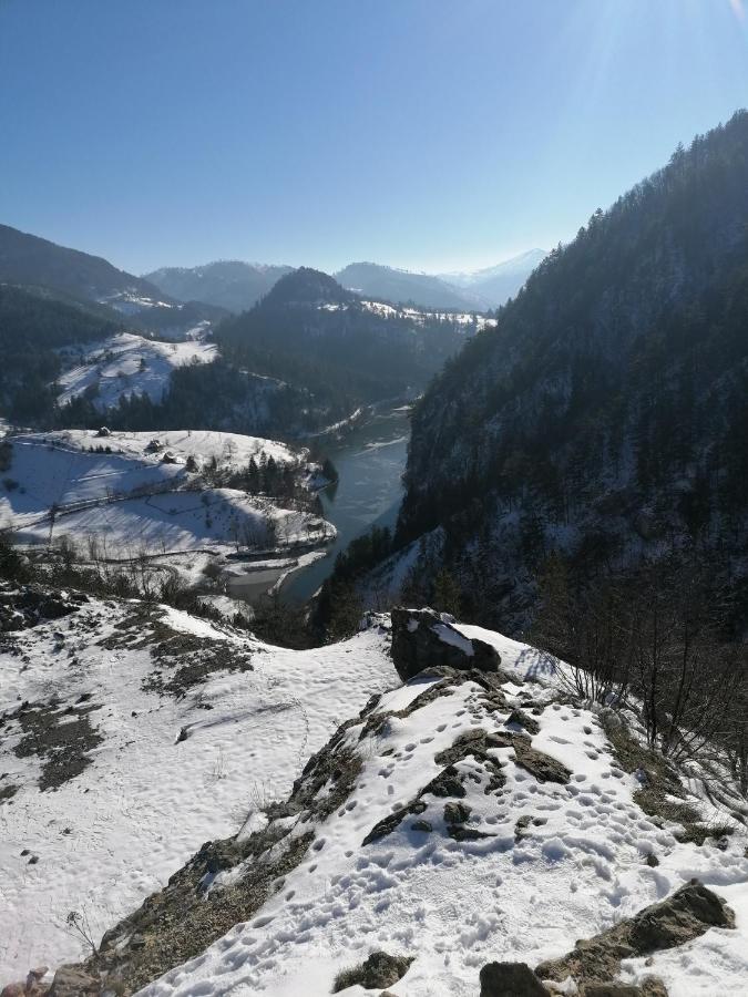 Vikendica Moonlight Villa Zaovine Kültér fotó
