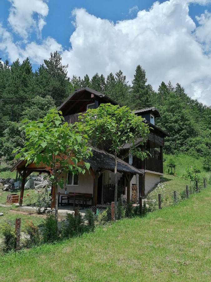 Vikendica Moonlight Villa Zaovine Kültér fotó