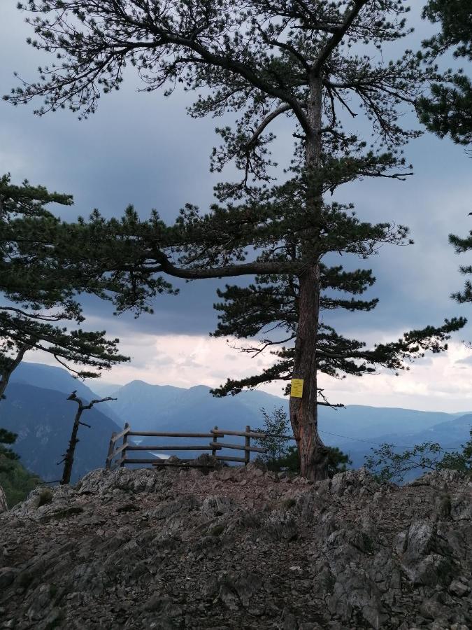 Vikendica Moonlight Villa Zaovine Kültér fotó